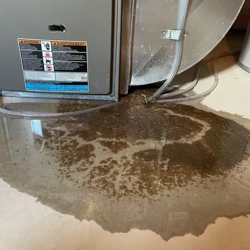 Appliance Leak Cleanup in La Monte, MO